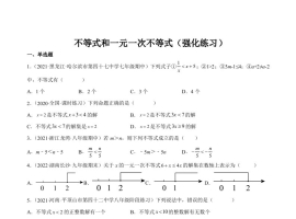 专题08 不等式和一元一次不等式（强化练习）-【一题三变系列】 考点题型汇编+强化练习